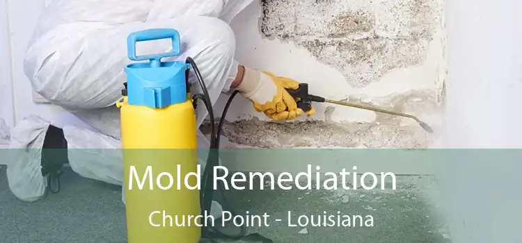 Mold Remediation Church Point - Louisiana