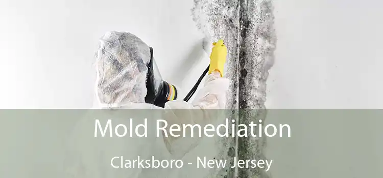 Mold Remediation Clarksboro - New Jersey