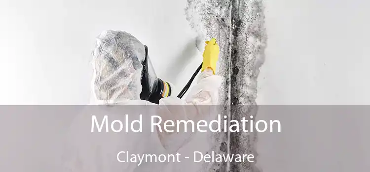 Mold Remediation Claymont - Delaware