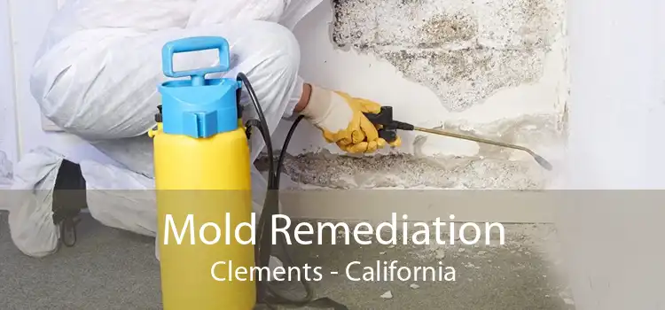 Mold Remediation Clements - California