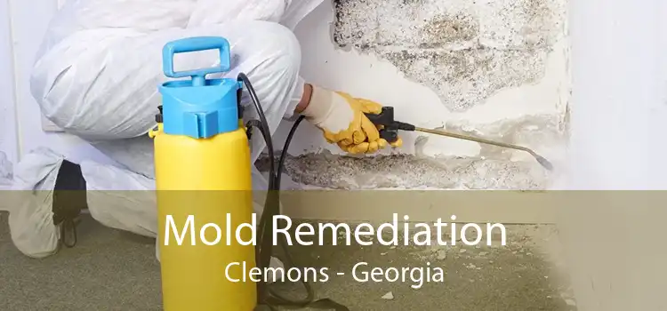 Mold Remediation Clemons - Georgia