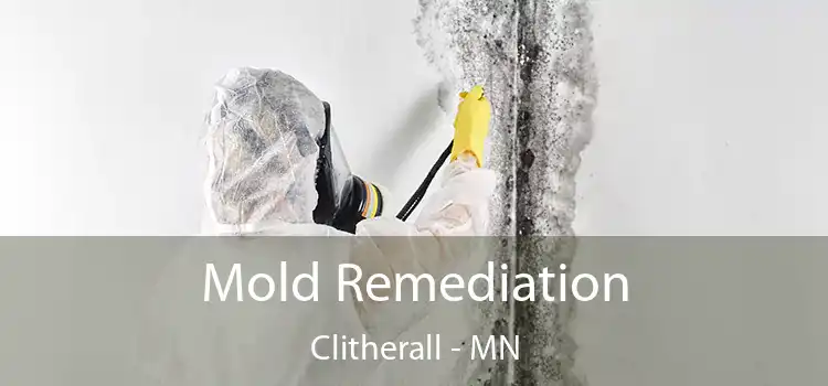 Mold Remediation Clitherall - MN