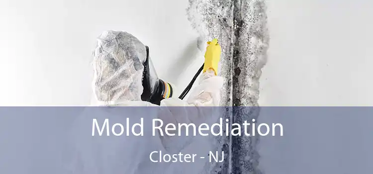 Mold Remediation Closter - NJ