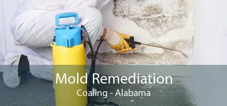 Mold Remediation Coaling - Alabama