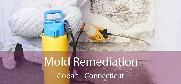 Mold Remediation Cobalt - Connecticut