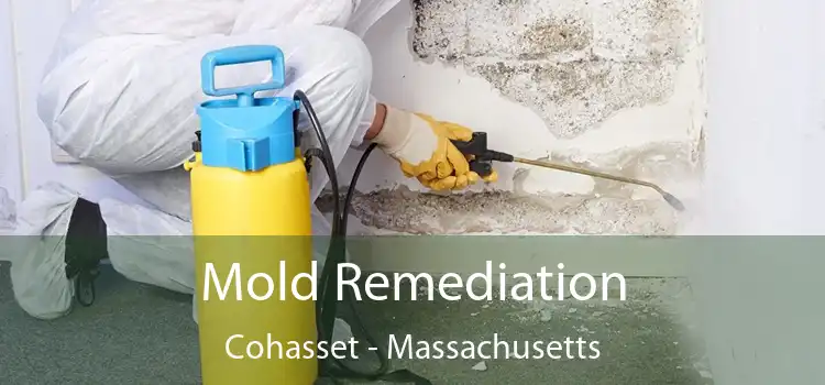 Mold Remediation Cohasset - Massachusetts