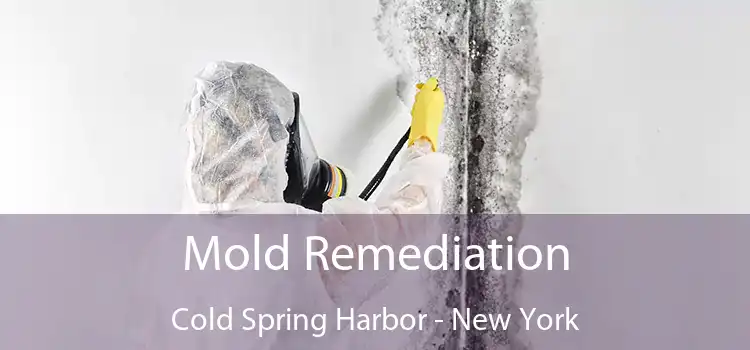 Mold Remediation Cold Spring Harbor - New York