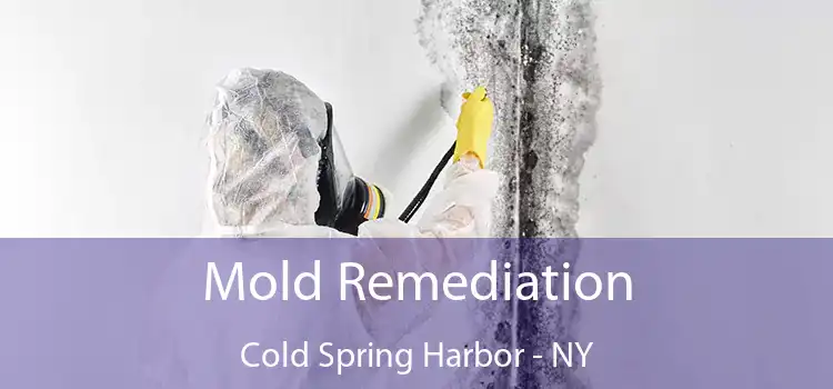 Mold Remediation Cold Spring Harbor - NY