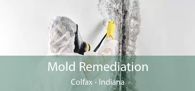 Mold Remediation Colfax - Indiana