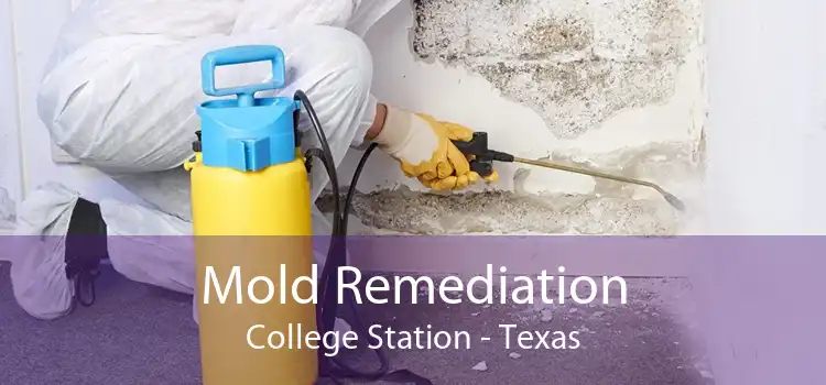 Mold Remediation College Station - Texas