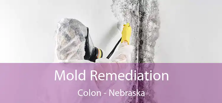 Mold Remediation Colon - Nebraska