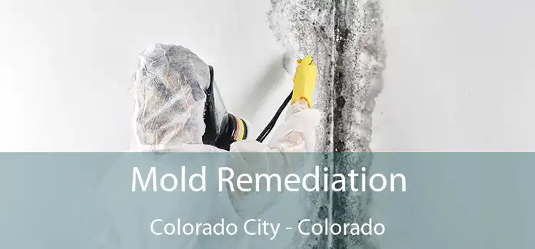 Mold Remediation Colorado City - Colorado