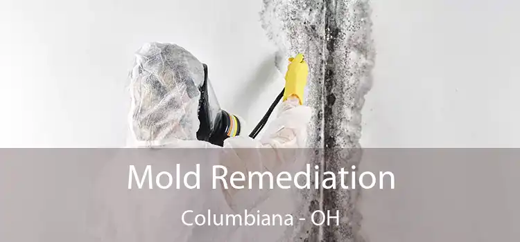 Mold Remediation Columbiana - OH