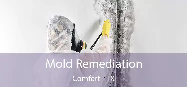 Mold Remediation Comfort - TX