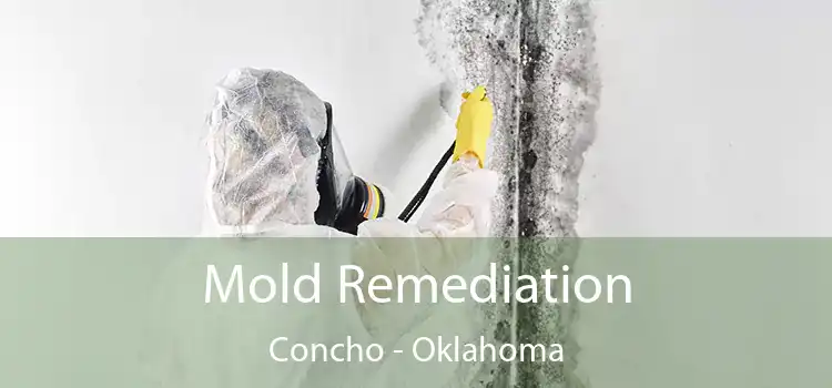 Mold Remediation Concho - Oklahoma