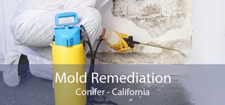 Mold Remediation Conifer - California