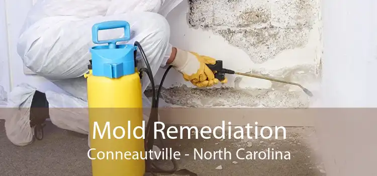 Mold Remediation Conneautville - North Carolina