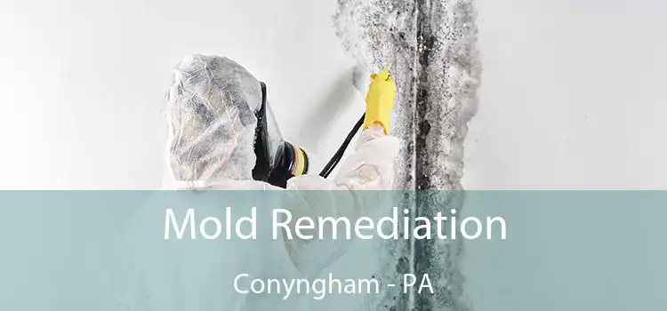 Mold Remediation Conyngham - PA