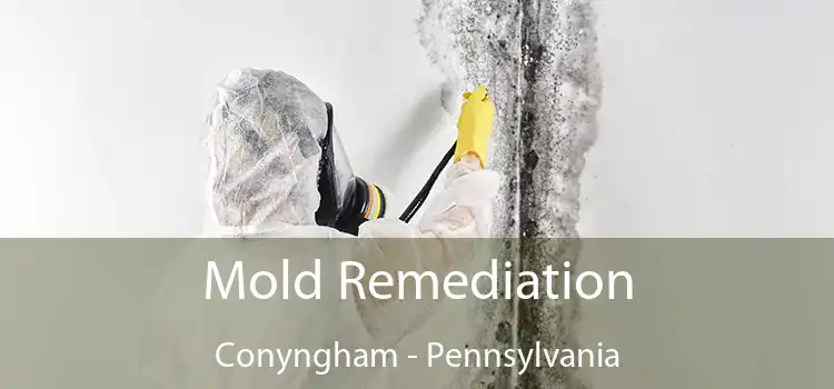 Mold Remediation Conyngham - Pennsylvania