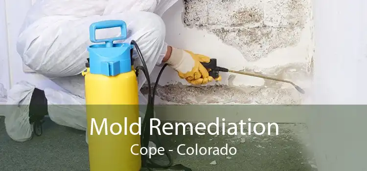 Mold Remediation Cope - Colorado