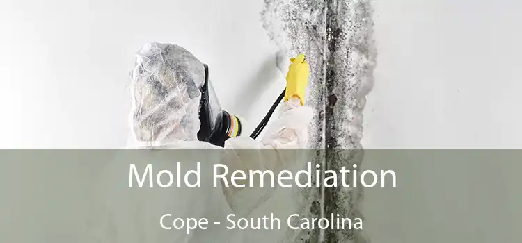 Mold Remediation Cope - South Carolina