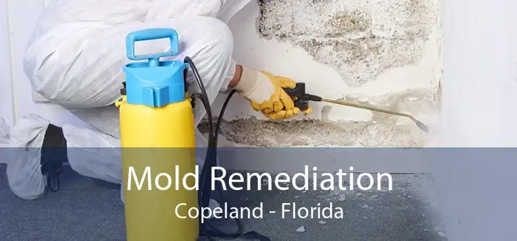 Mold Remediation Copeland - Florida
