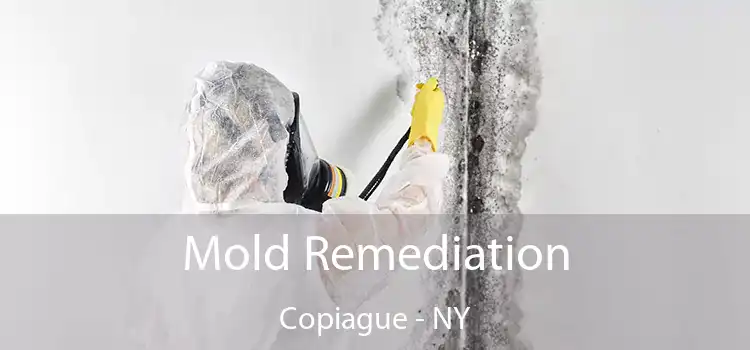 Mold Remediation Copiague - NY