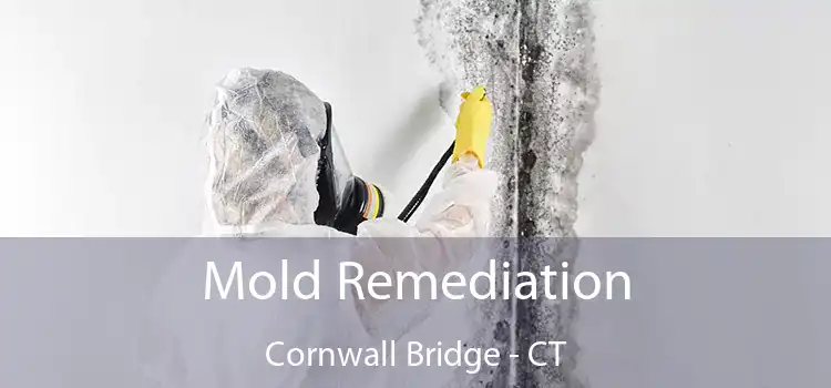 Mold Remediation Cornwall Bridge - CT