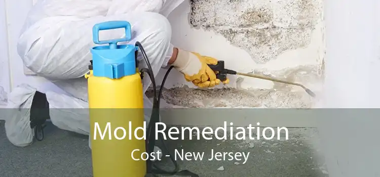 Mold Remediation Cost - New Jersey