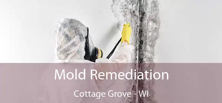 Mold Remediation Cottage Grove - WI