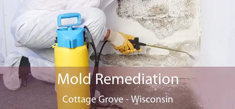 Mold Remediation Cottage Grove - Wisconsin