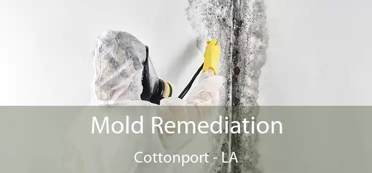 Mold Remediation Cottonport - LA