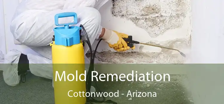 Mold Remediation Cottonwood - Arizona