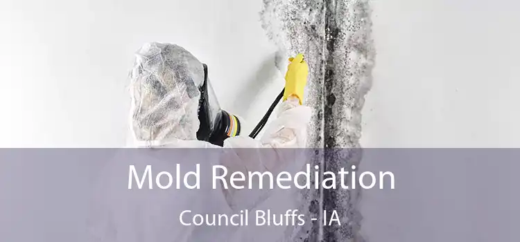 Mold Remediation Council Bluffs - IA