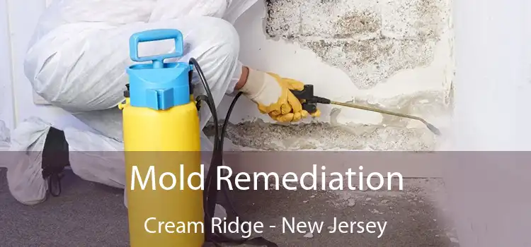 Mold Remediation Cream Ridge - New Jersey