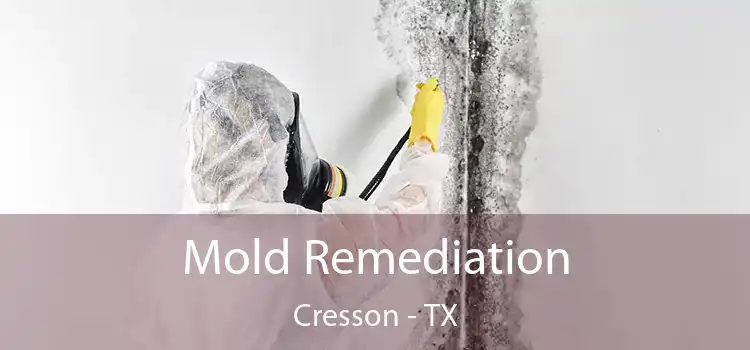 Mold Remediation Cresson - TX