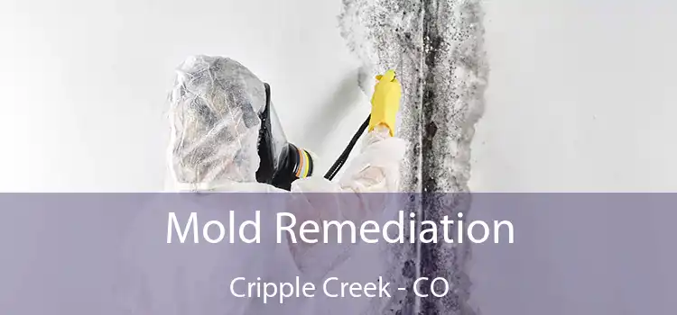 Mold Remediation Cripple Creek - CO