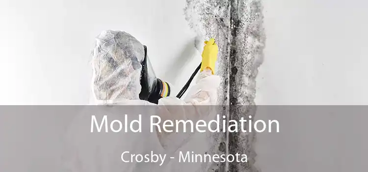 Mold Remediation Crosby - Minnesota