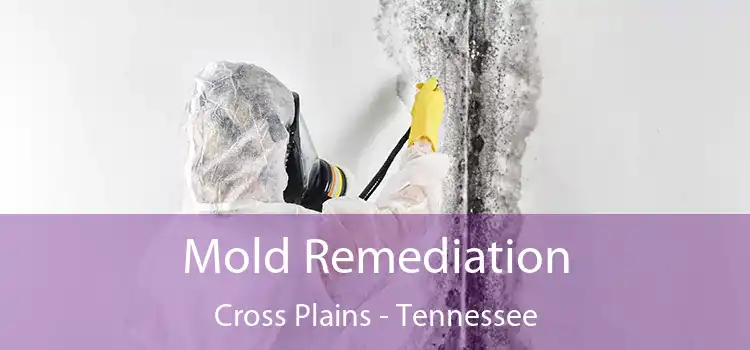 Mold Remediation Cross Plains - Tennessee