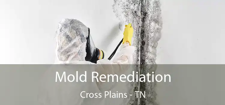 Mold Remediation Cross Plains - TN