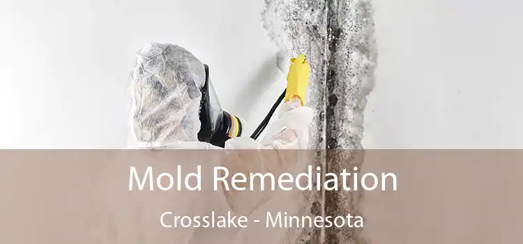 Mold Remediation Crosslake - Minnesota