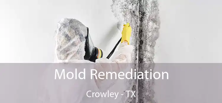 Mold Remediation Crowley - TX