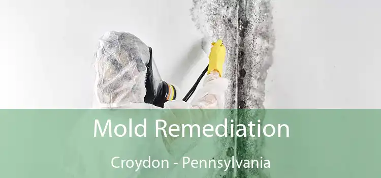 Mold Remediation Croydon - Pennsylvania