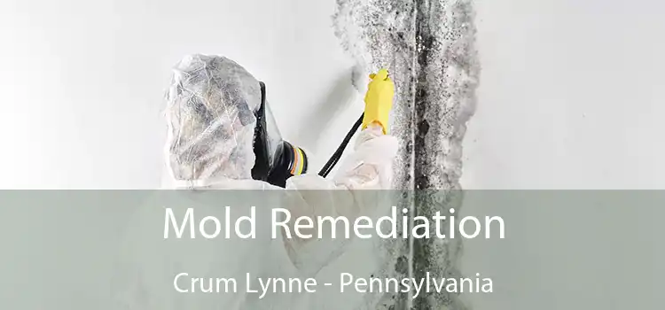 Mold Remediation Crum Lynne - Pennsylvania