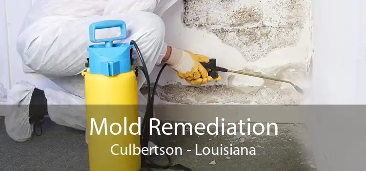 Mold Remediation Culbertson - Louisiana