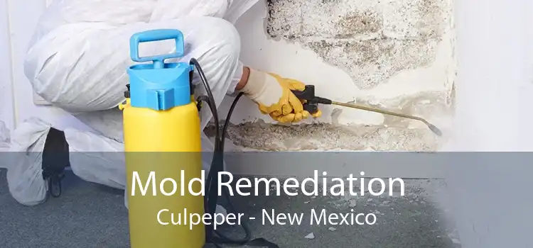 Mold Remediation Culpeper - New Mexico