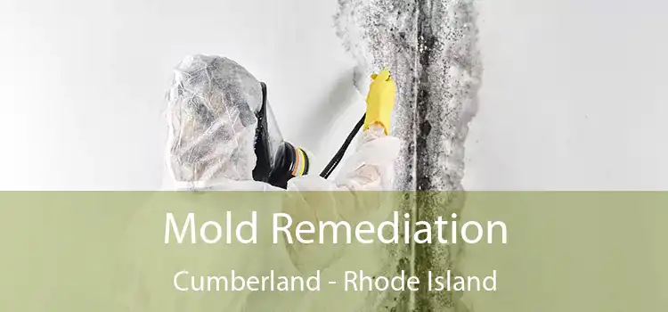 Mold Remediation Cumberland - Rhode Island