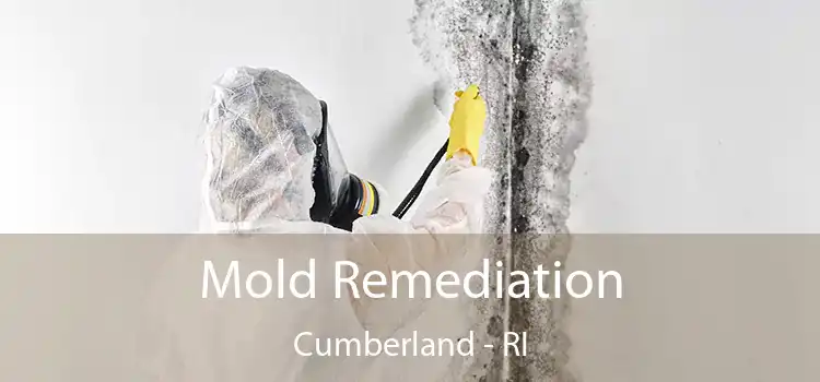 Mold Remediation Cumberland - RI