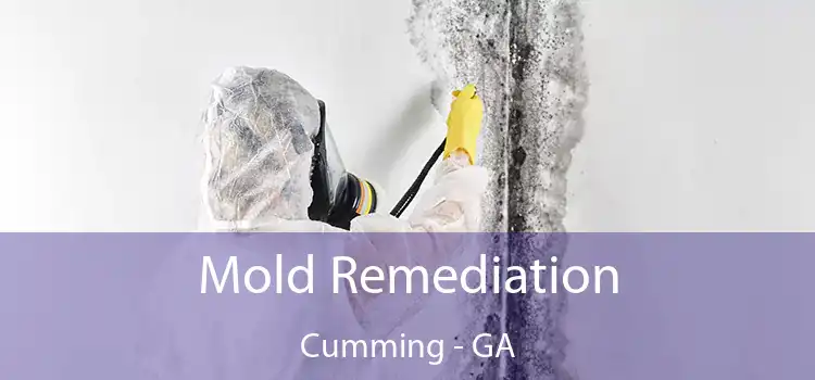 Mold Remediation Cumming - GA