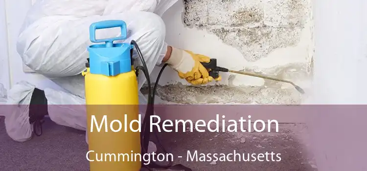 Mold Remediation Cummington - Massachusetts